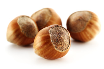 hazelnuts 