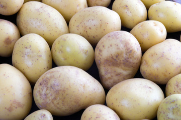 Potato / many potatoes in a heap