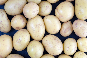 Potato / many potatoes in a heap