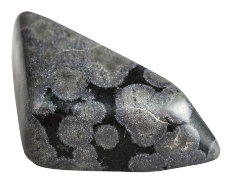 Variotite Tph Variolite Images – Browse 23 Stock Photos, Vectors, and Video | Adobe Stock