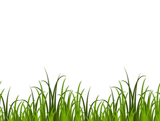 Fototapeta premium grass border