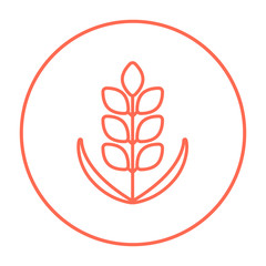 Wheat line icon.