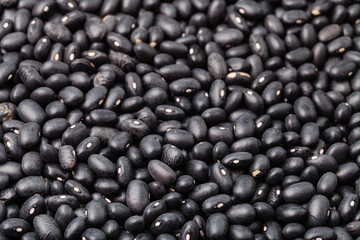 scattered raw Black turtle beans