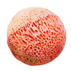 ball from pink sponge coral gemstone isolated
