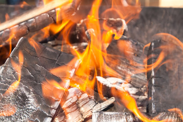 burning wood  brazier