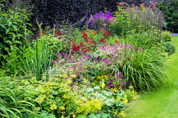 Fototapety  Piękny ogród otoczony murem