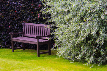 Brown garden bench with green grass