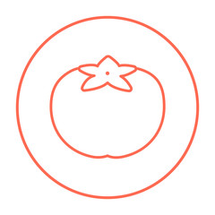 Fototapeta premium Tomato line icon.