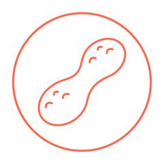 Peanut line icon.
