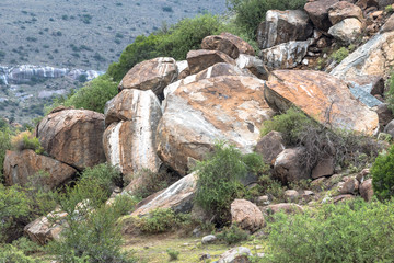 Boulders coloured white by rock hyrax urine