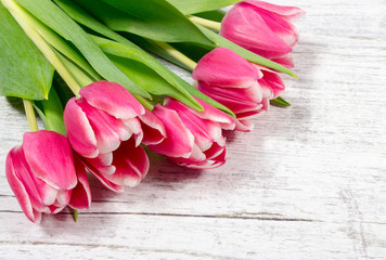 Tulips on wood background. Space for text.