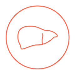 Liver line icon.