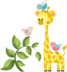 Cute giraffe with three birds
