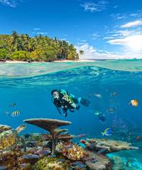 Underwater coral reef with scuba divers