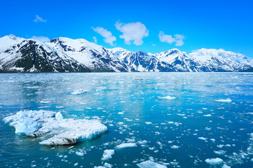 Fototapeta na wymiar Glacier and beautiful nature of Alaska