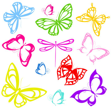 butterflies design