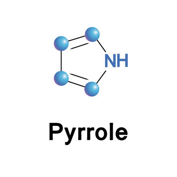 Pyrrole organic compound.