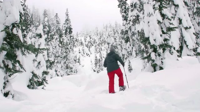 Man Snowshoeing Through Trees Up Backcountry Mountain
