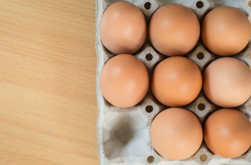 Eggs in paper tray