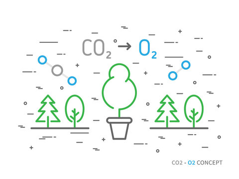 CO2 (carbon dioxide) to O2 (oxygen) colorful linear vector illustration. Natural (ecology, ecological) oxygen creative graphic concept. Natural eco oxygen process for science, chemistry, biology.