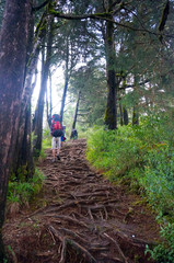 Obraz premium three bacpack hiker