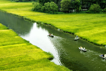 Rice field and river, Ninh Binh, vietnam landscapes