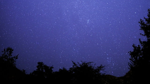 Starry Sky 04 Pan R Milky Way Time Lapse in Forest