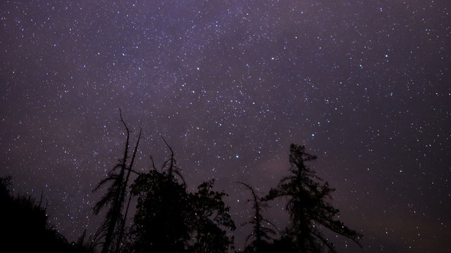 Starry Sky 12 Pan R Milky Way Time Lapse in Forest