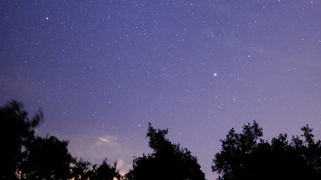 Starry Sky 16 Pan R Milky Way Time Lapse in Forest