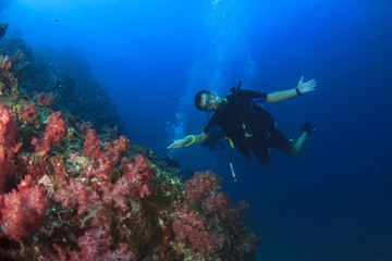 Fototapeta na wymiar Scuba divers explore coral reef