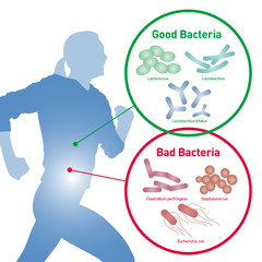 running woman silhouette and Good Bacteria and Bad Bacteria, enteric bacteria, Intestinal flora, Gut flora, probiotics, image illustration