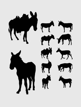 Donkey Silhouettes, art vector design