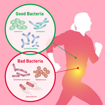 running woman silhouette and Good Bacteria and Bad Bacteria, enteric bacteria, Intestinal flora, Gut flora, probiotics, image illustration