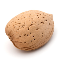 Almond nut in shell isolated on white background close up