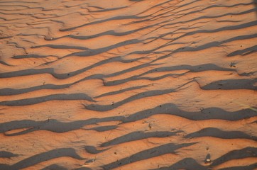 Sand texture background