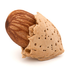 Almond nut in shell and shelled isolated on white background clo