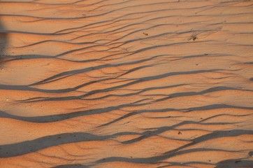 Sand texture background