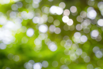 Obraz premium abstract background bokeh nature, defoucused