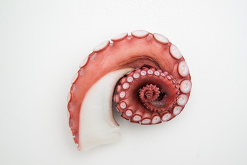 octopus leg for sashimi