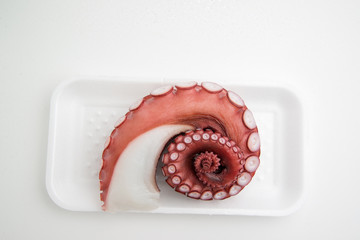 octopus leg for sashimi