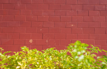 
Red brick wall
