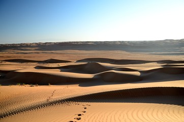 Fototapeta premium Rippled sand dunes at sunset India