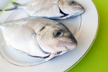 side on view of two fish on a plate