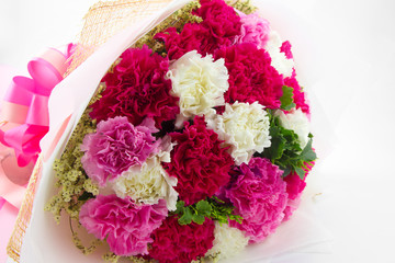 Carnation bouquet white background 