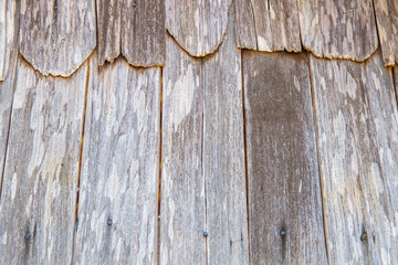 Old plank wooden wall for background.