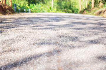 Asphalt road in the forest.