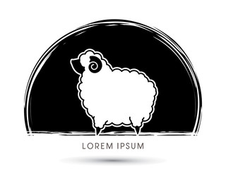 Sheep graphic vector.
