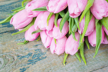 Pink tulips flowers