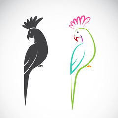 Vector image of a parrot design on white background.