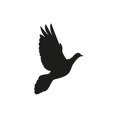 Single pigeon love silhouettes